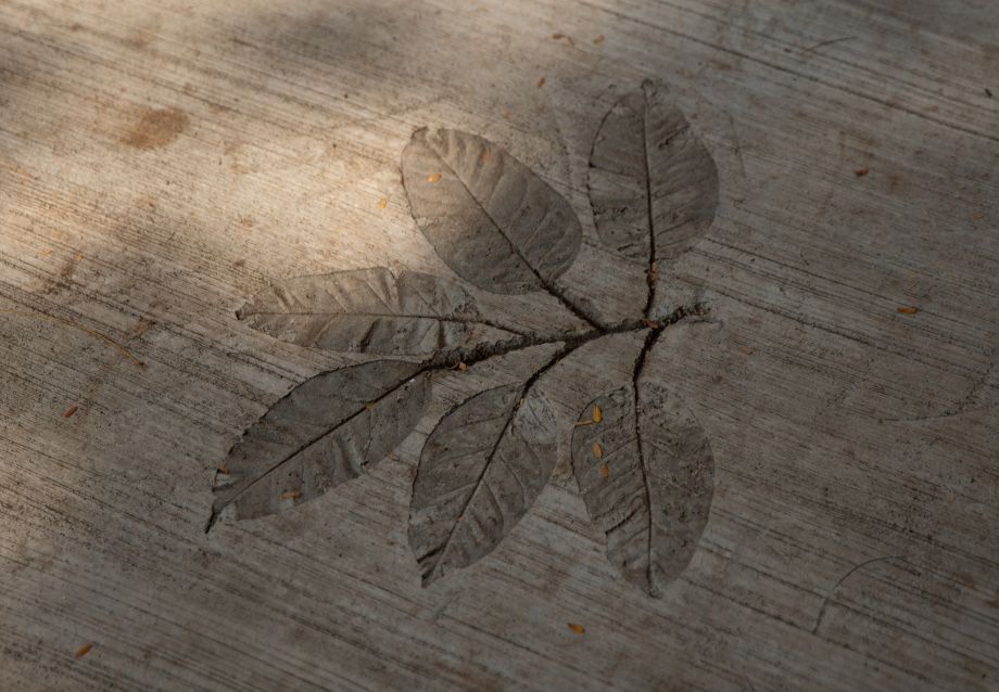 Leaf Path