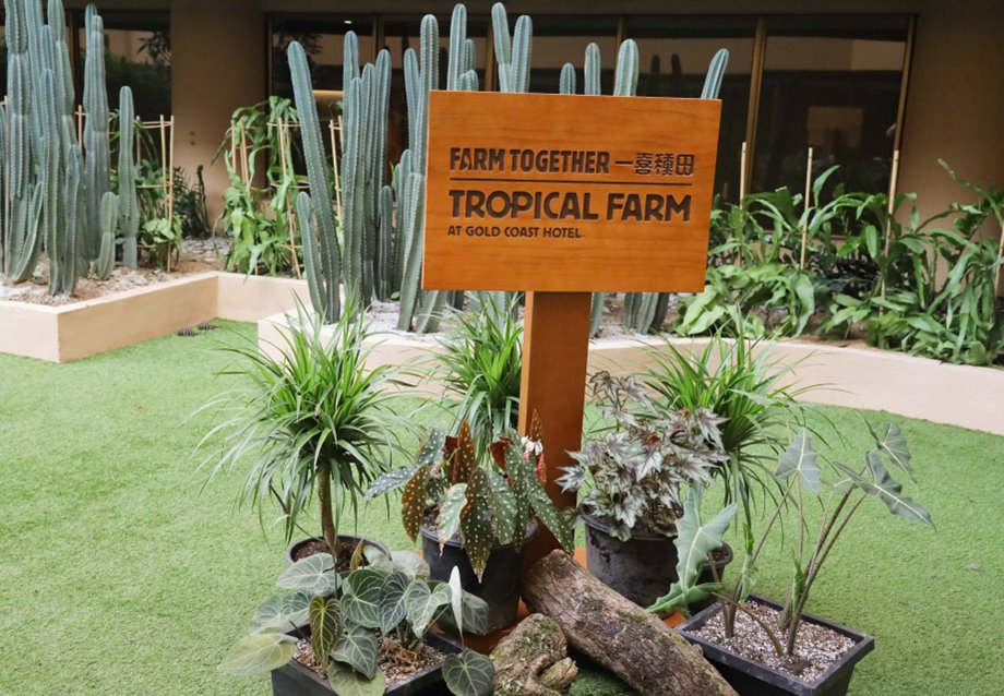 Tropical Farm